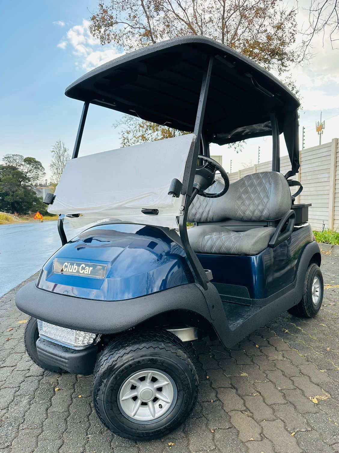 Pro Carts golf cart
