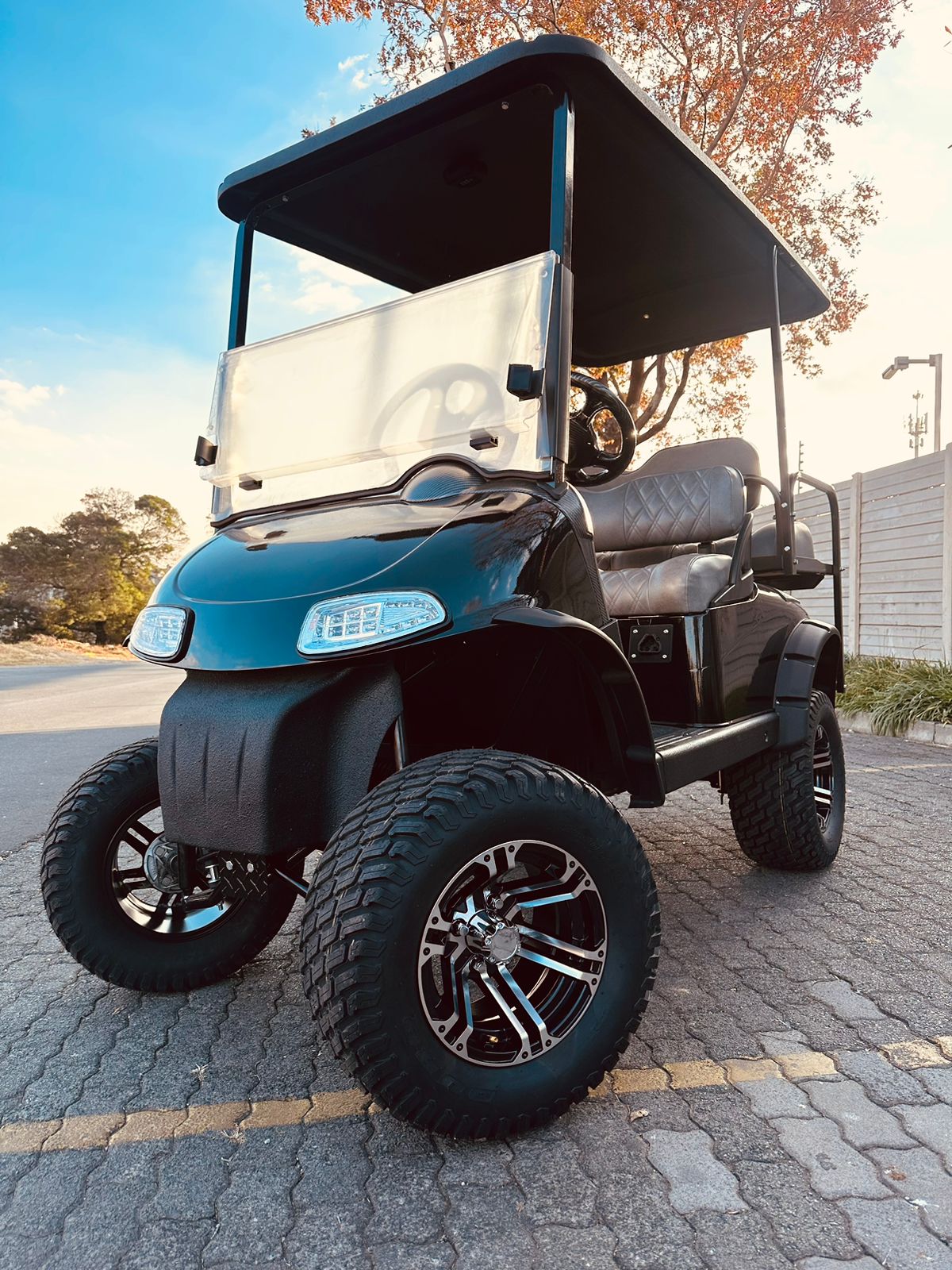 Pro Carts golf cart