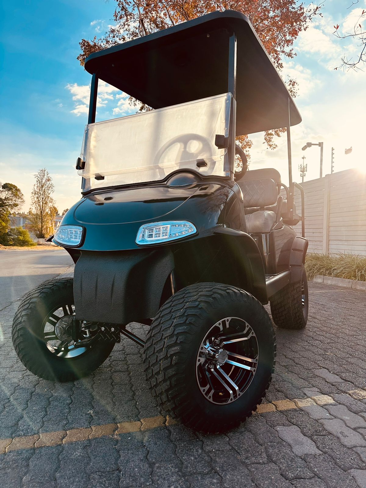 Pro Carts golf cart