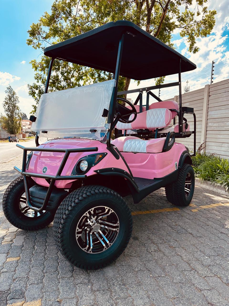 Pro Carts golf cart